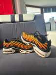 Nike TN   oryginalne