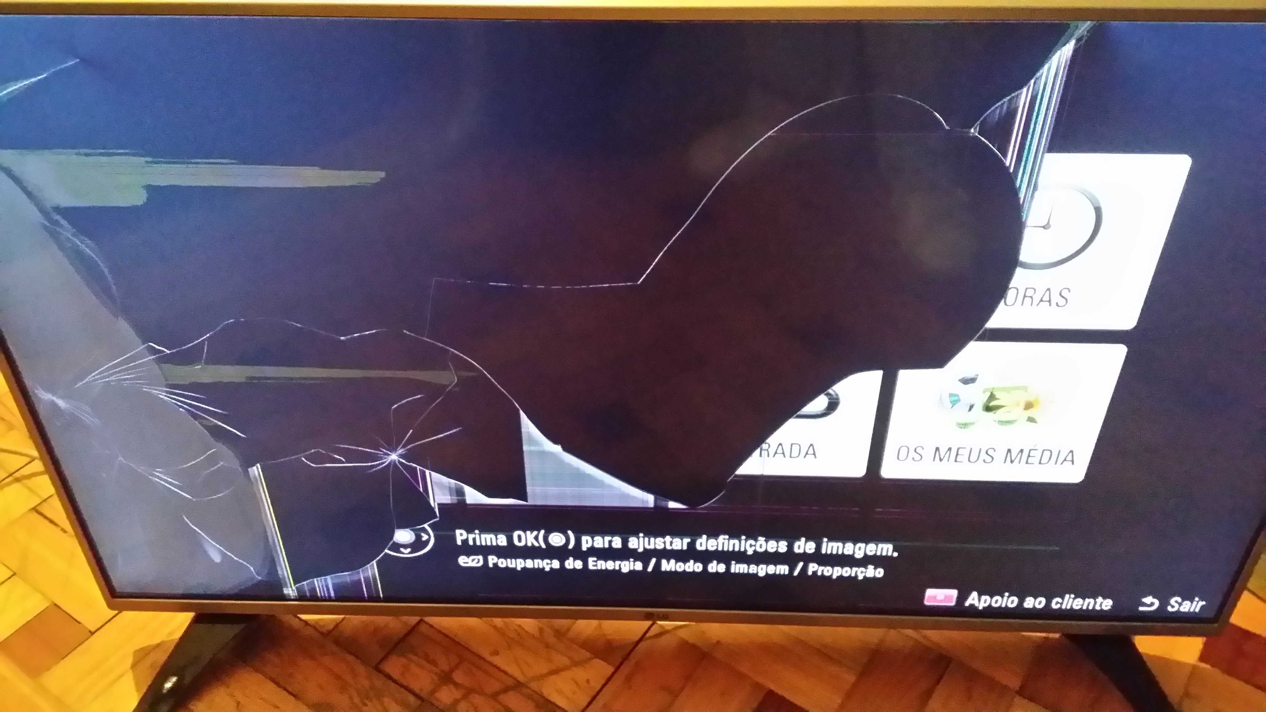 TV LG 43LF5400 - Funciona mas Ecrã PARTIDO-Desocupar 110€Melhor oferta