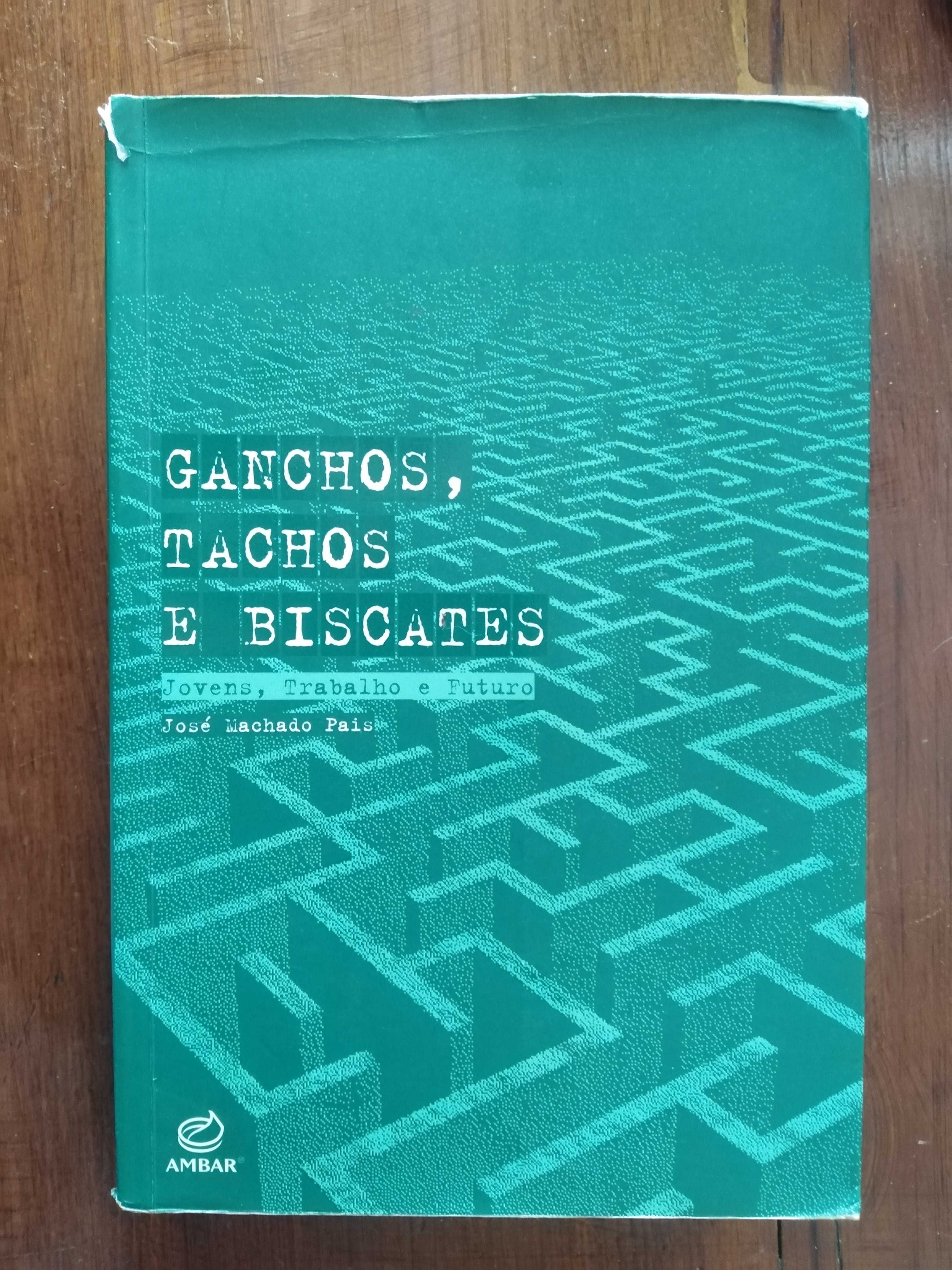José Machado Pais - Ganchos, Tachos e Biscates