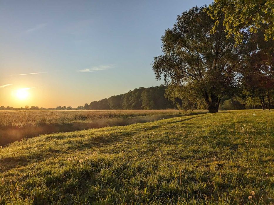Konstancin-Jeziorna Grapa Spokojne Mieszkanie Do Wynajęcia Przy Łąkach