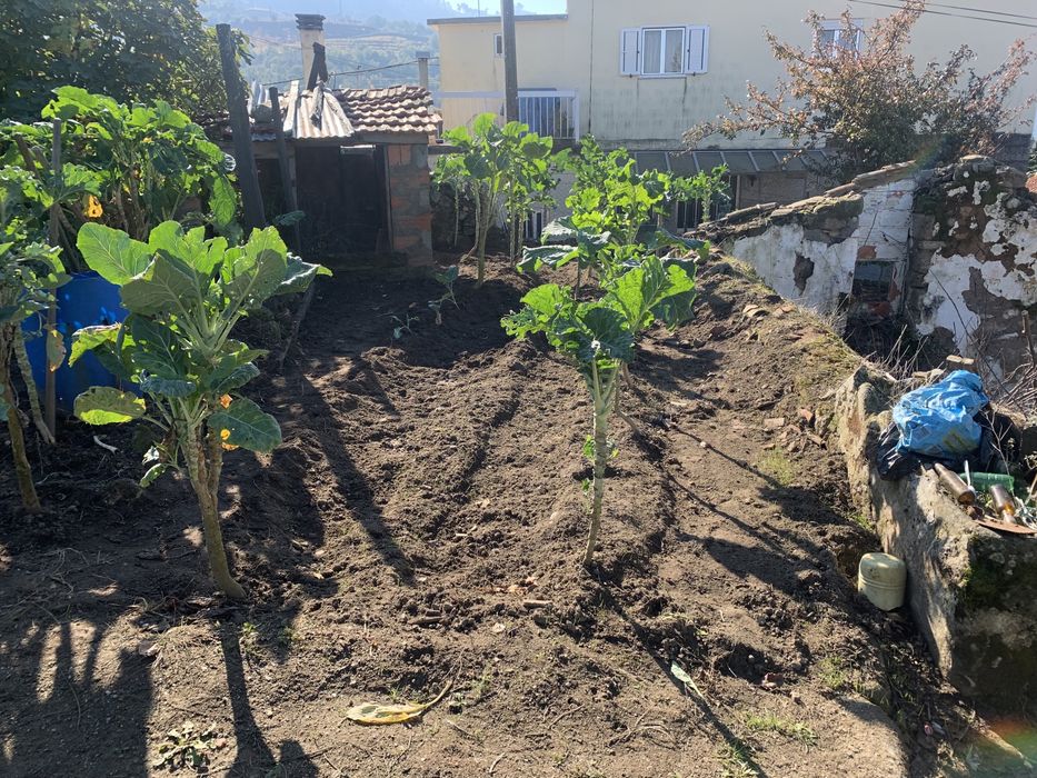 Terreno com habitacao