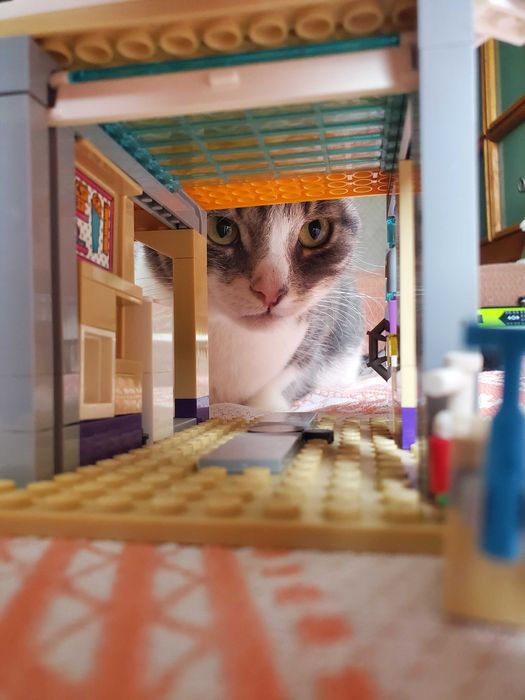 Набор lego friends 41350 Дом дружбы