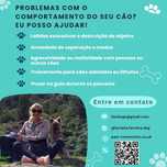 Treino de cães - Comportamento Canino