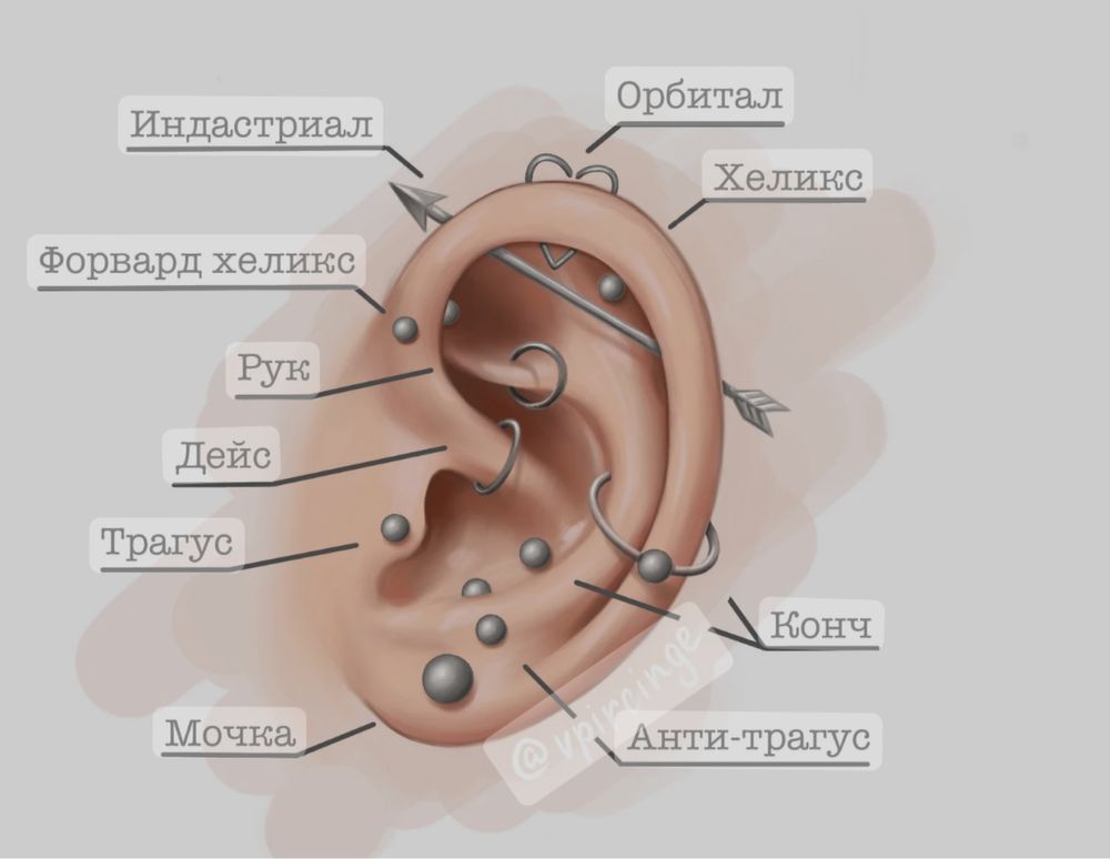 Проколы ужей и носа Пирсинг