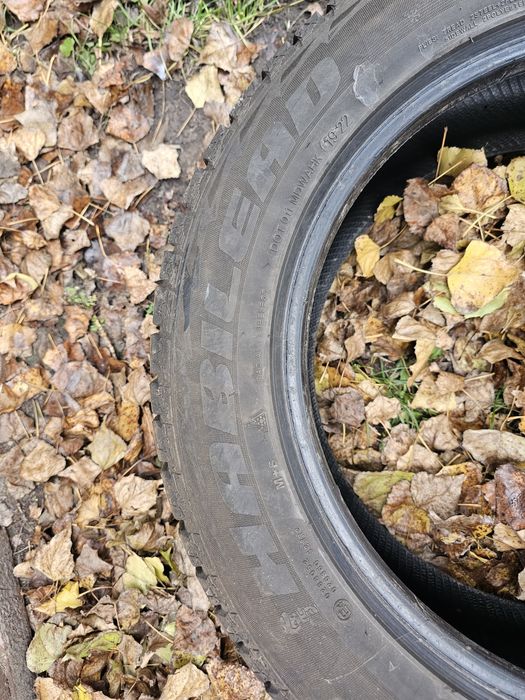 зимові шини Habilead Ice Max RW 501 2355 55 r18