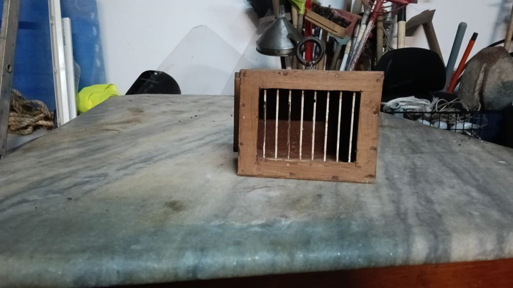 Transportadora de pássaros/ Pombos