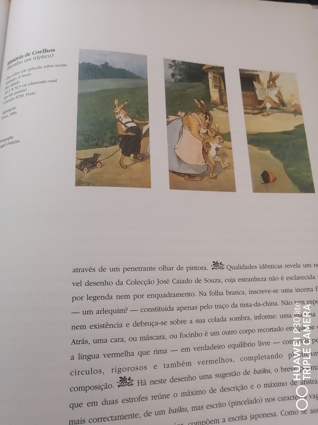 Livro  "Aurélia de Souza "