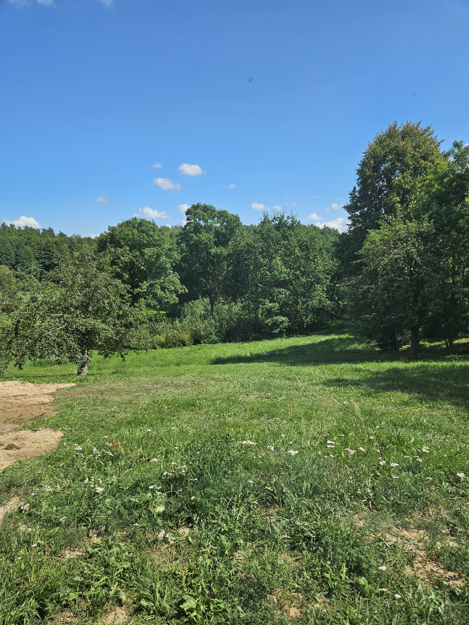 Domek do wynajęcia