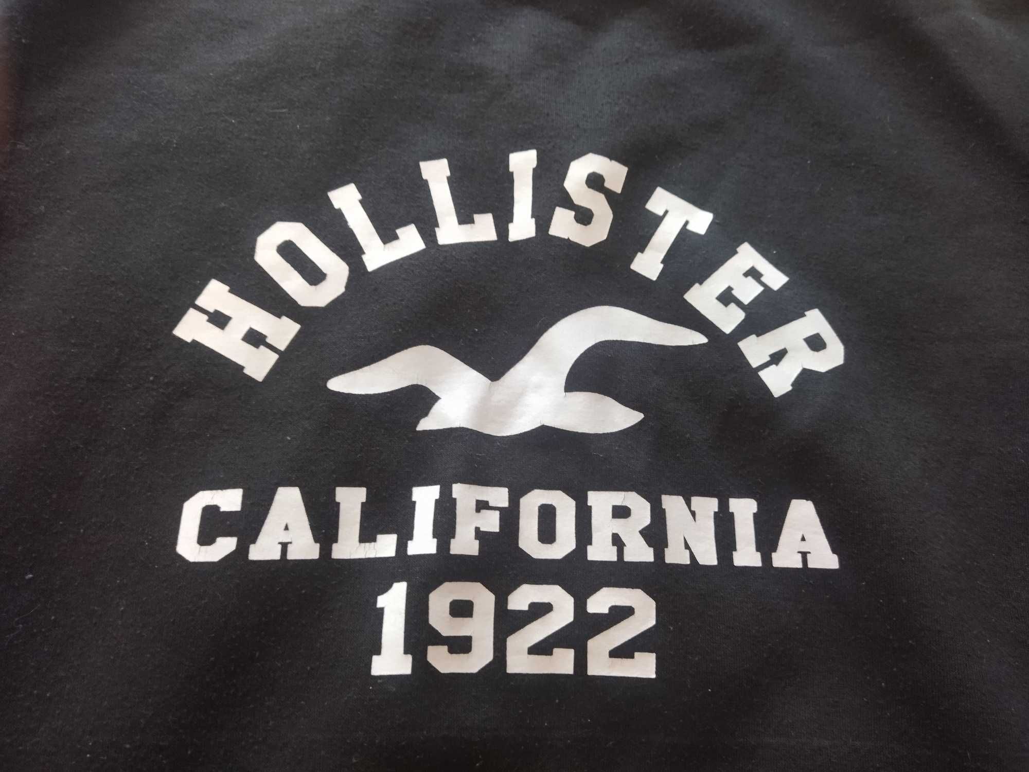 Bluza Hollister rozmiar L