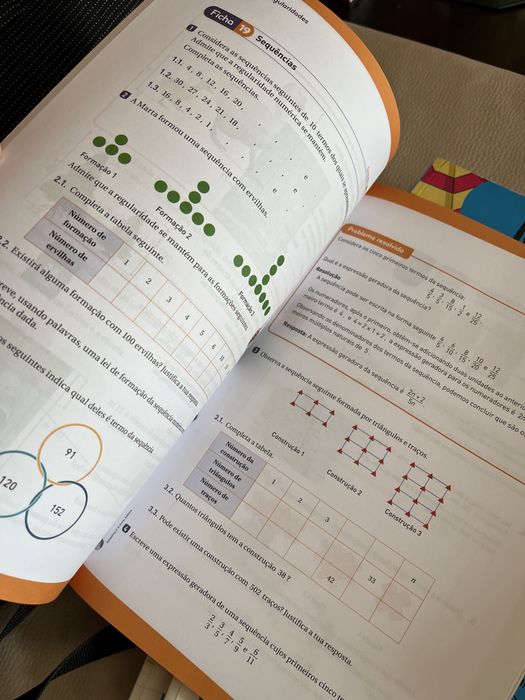 Livro Máximo 6.º ano - Caderno Fichas/ Máximo do Aluno