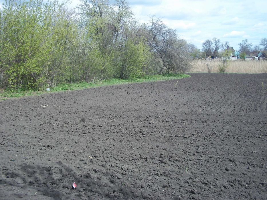 Продам будинок в селі Левенцівка.