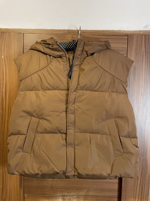 Bezrękawnik brązowy