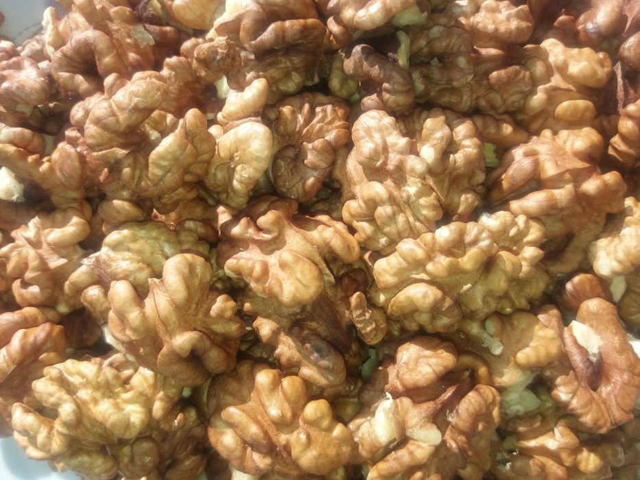 Грецкие орехи 2024 г., бабочк9а, половинки, четвертинки, перепонки.