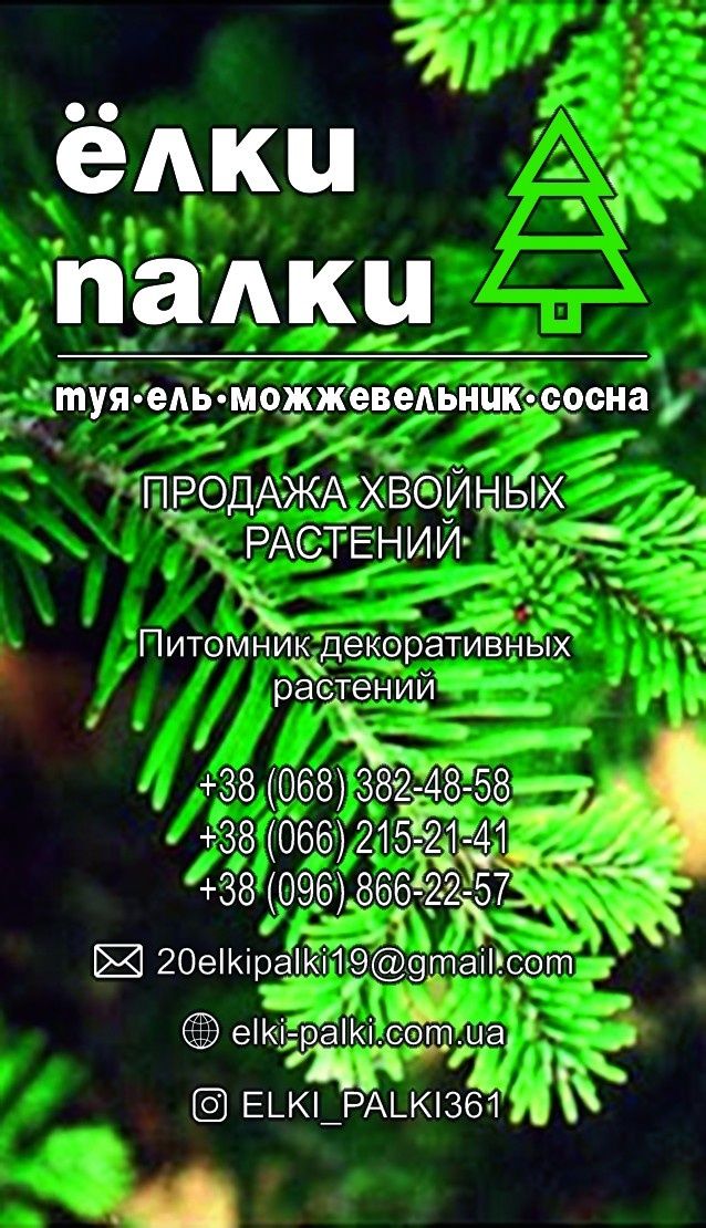 Продам тую смарагд