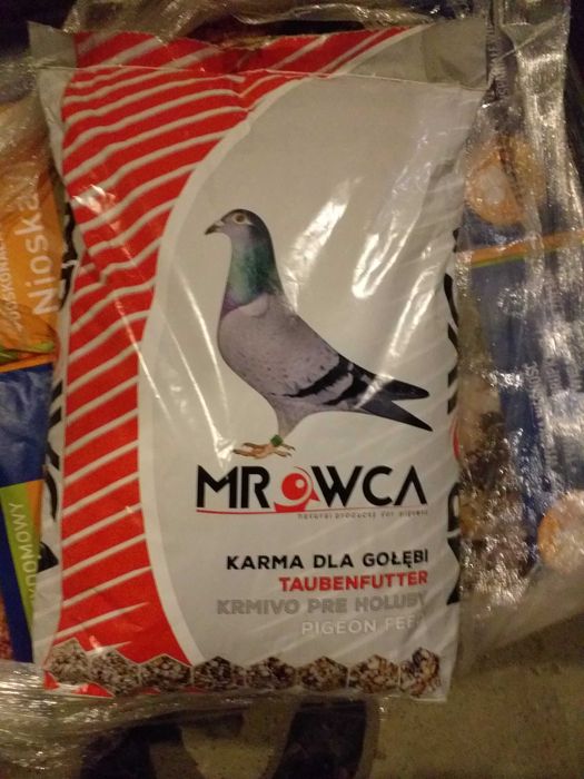 Karma dla gołębi