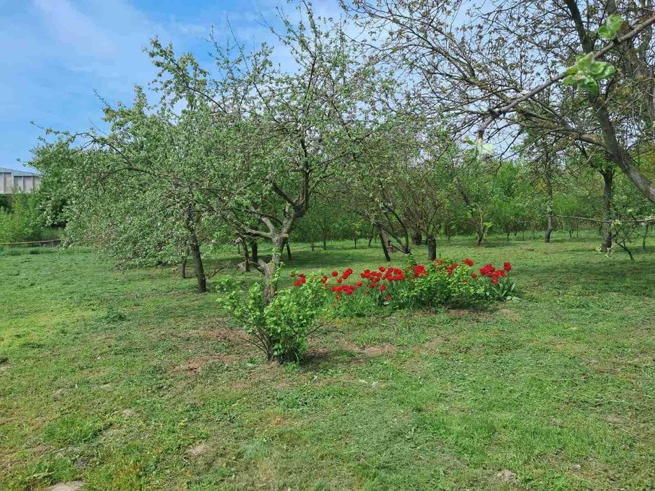 Продам будинок у с. Перемога  із земельною ділянкою 64 сотки