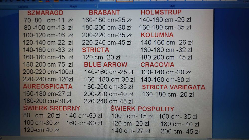 Tuja tuje Globosa Szmaragd kulka30-40cm. 30zł.