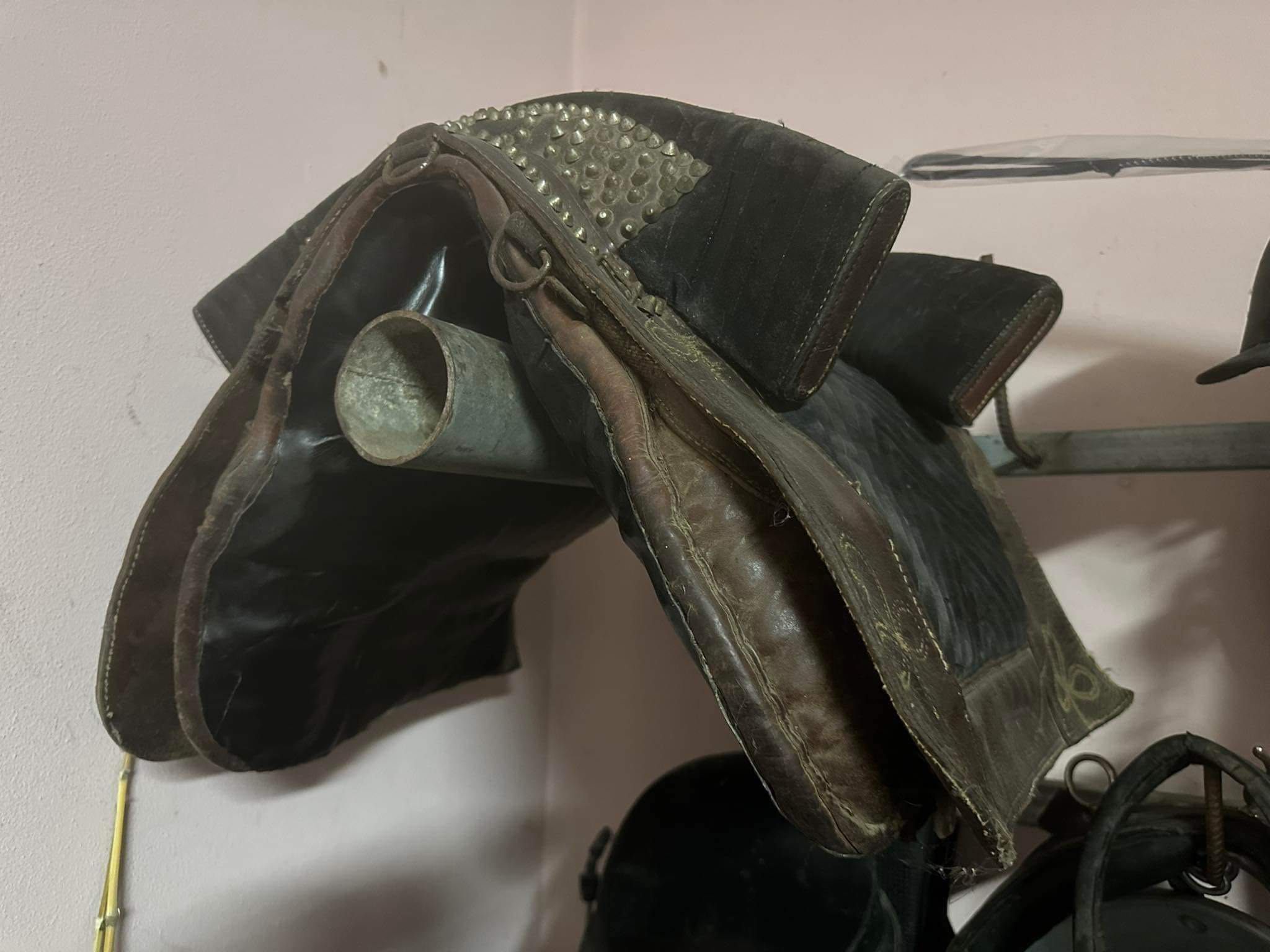 Sela Portuguesa .