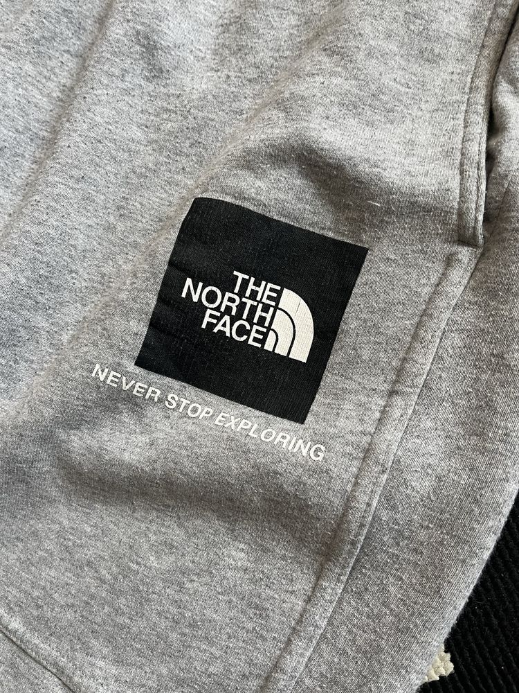 Штани the north face