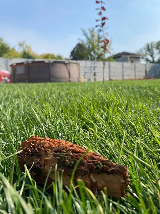 Ландшафтний дизайн, облаштування газону, прибирання земельної ділянки