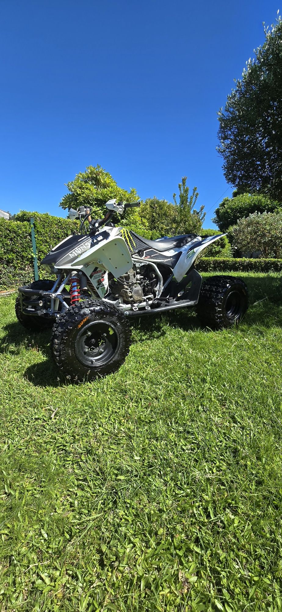 Honda  Trx  450R