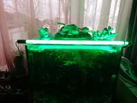 Лампа в аквариум. Подводная. Зеленая. 60 см. 10 ватт.  Новая.