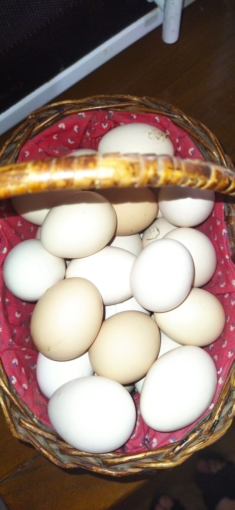 Яйца карликовых курочек на инкубацию