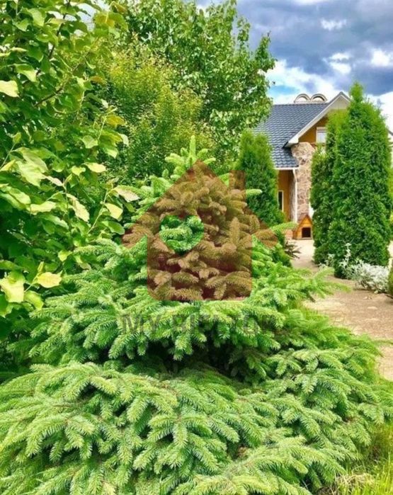 Продаж будинку біля Ужгорода!