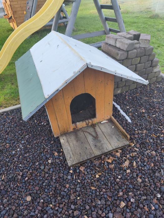 Oddam za darmo budę dla psa