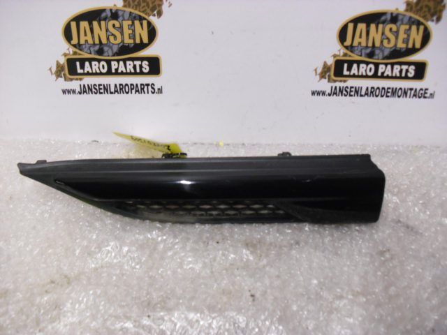 RANGE ROVER EVOQUE friso guarda lamas diversos