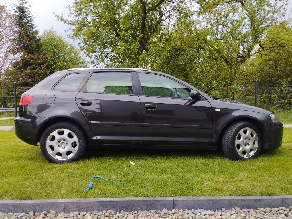 Audi a3 8p 2007 1.9 TDI