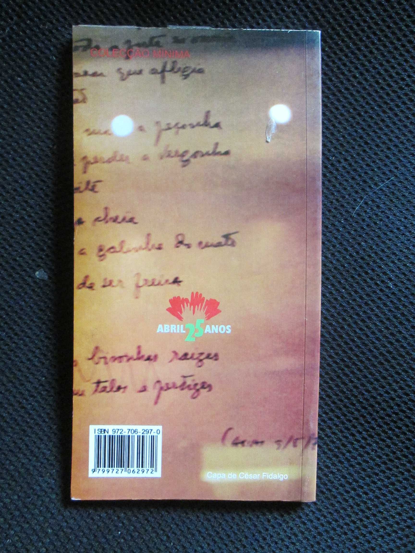 José Afonso, poeta, de Elfriede Engelmayer