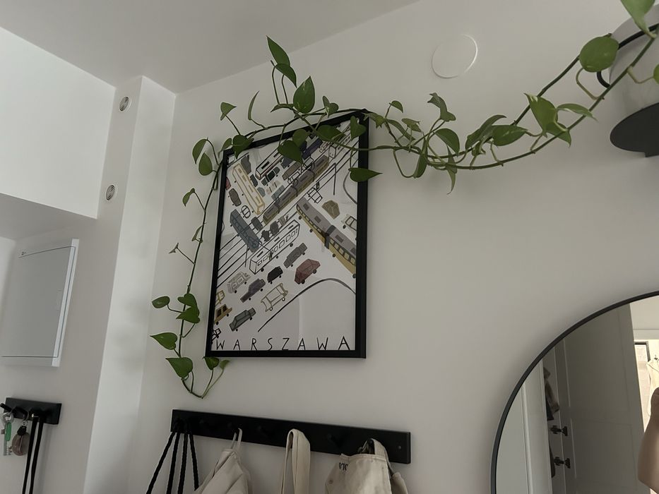 Plakat „Warszawski korek” Sylwia Szyrszeń-Jaskierska