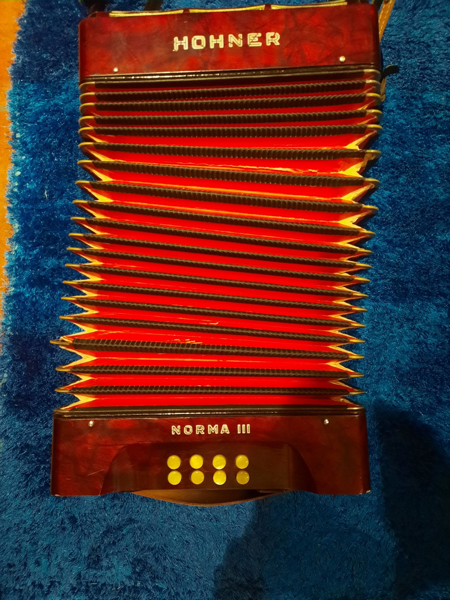 Concertina Hohner