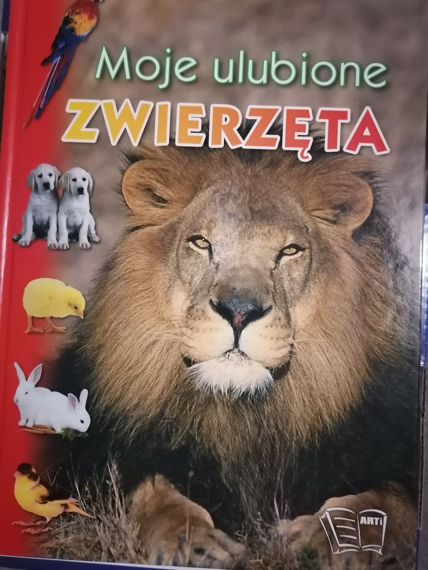 Książka Moje Ulubione Zwierzęta