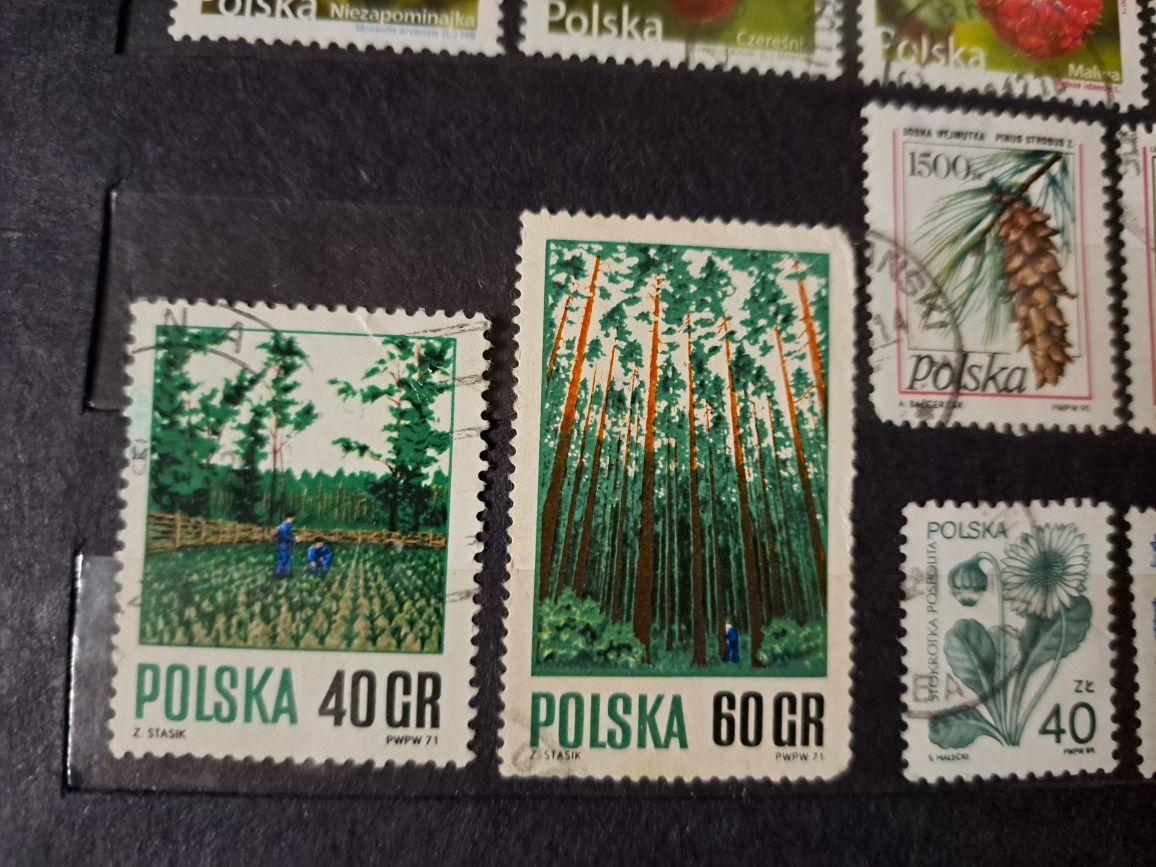 Znaczki pocztowe Polskie kwiaty, rośliny