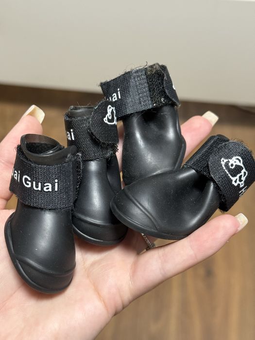 Новые ботинки для собак