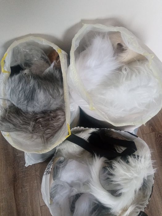 Na pompony lub brody