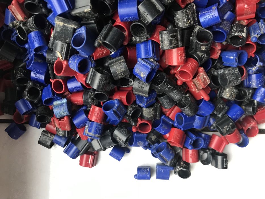 Tipesy Vizion V10 - Tipes tipesy - obrączki dla gołębi