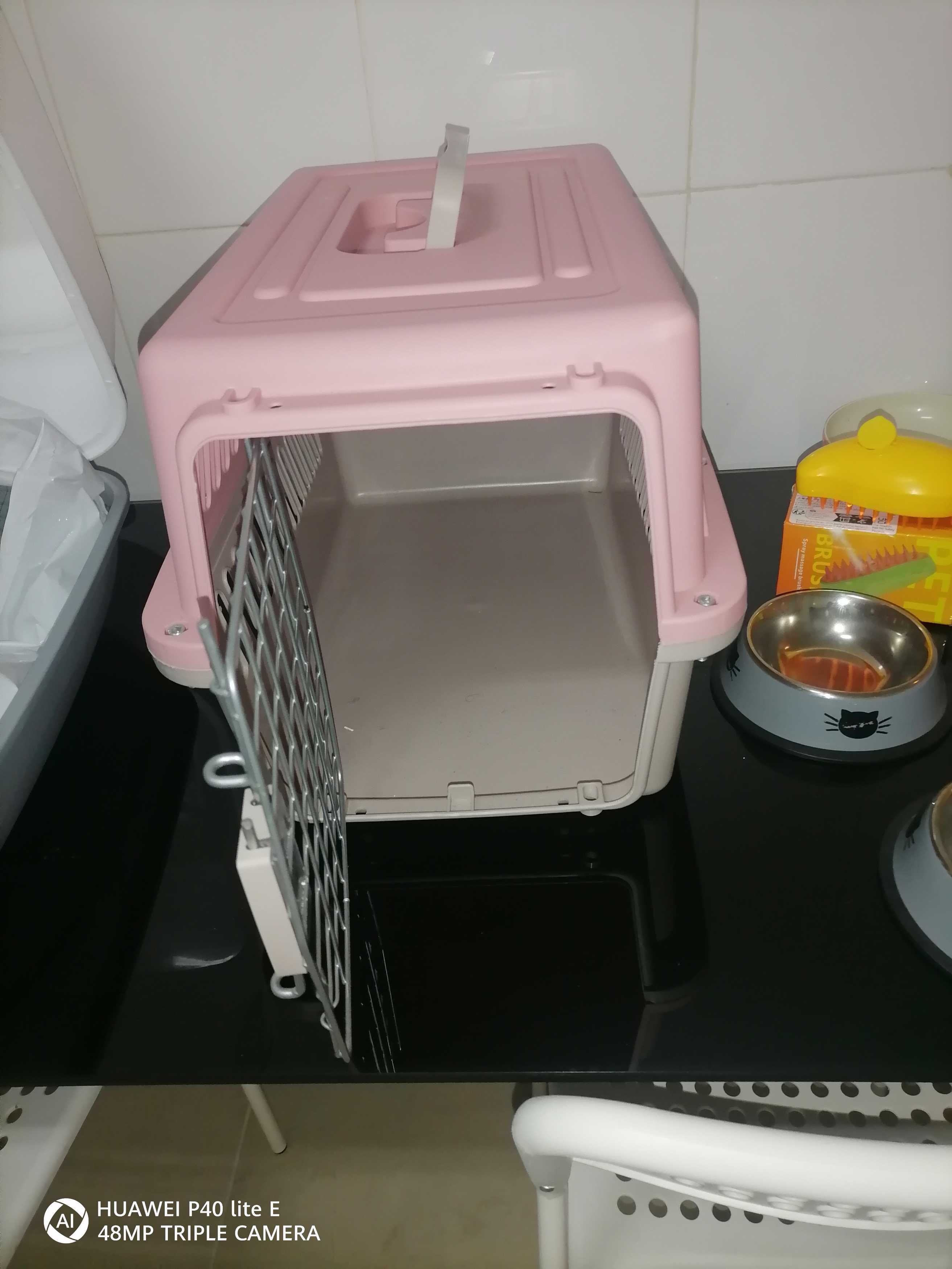Artigos para gato