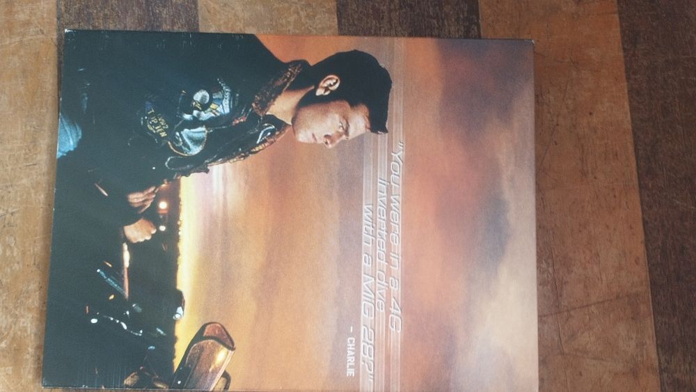 Top Gun Ases Indomáveis