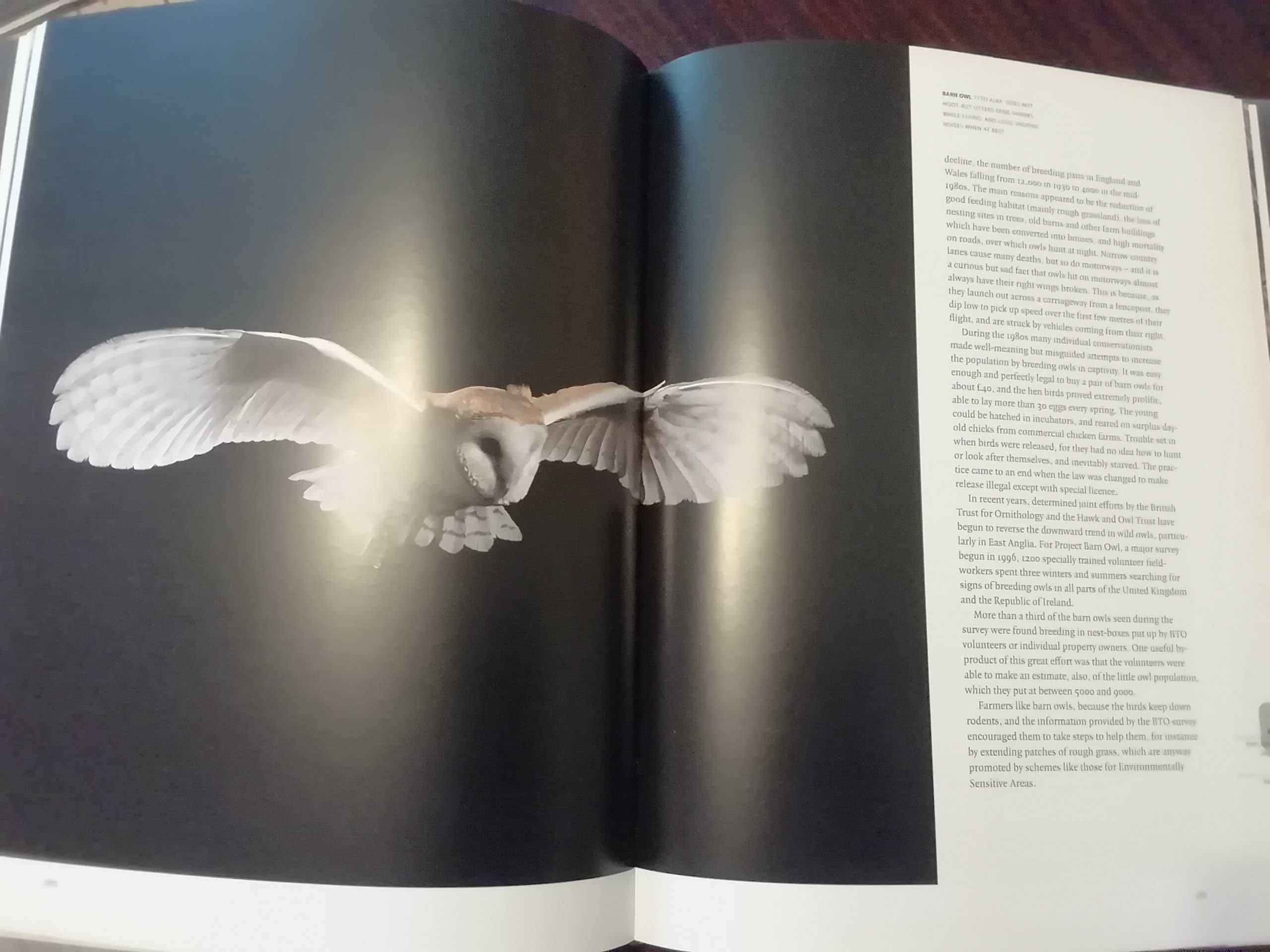 Fauna Britannica, Duff Hart Davis