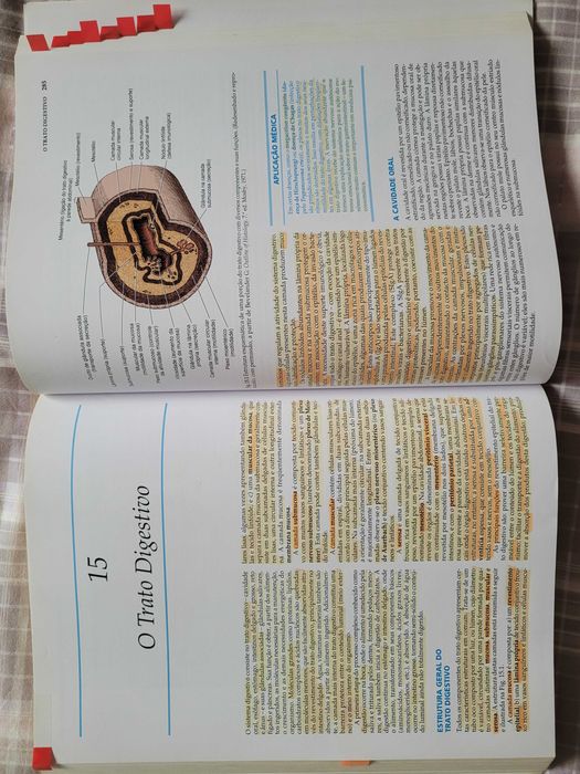 Histologia Básica - Texto e Atlas (com CD)