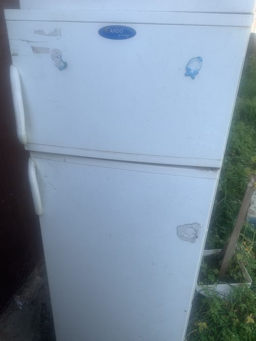 Холодильник Ardo