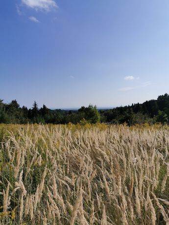 Dojazdów widokowa budowlana działka 16,7a gmina Kocmyrzów-Luborzyca