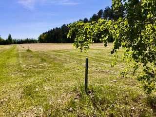 Działka budowlana + las, natura i spokój w pakiecie 50 km od Warszawy