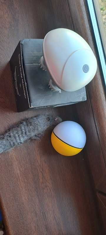 Masażer dla kota na baterię i piłka zmyłka na baterie