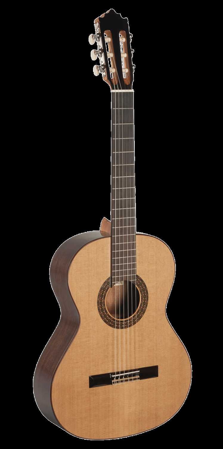 Paco Castillo 202 gitara klasyczna Made in Spain - Solid Top