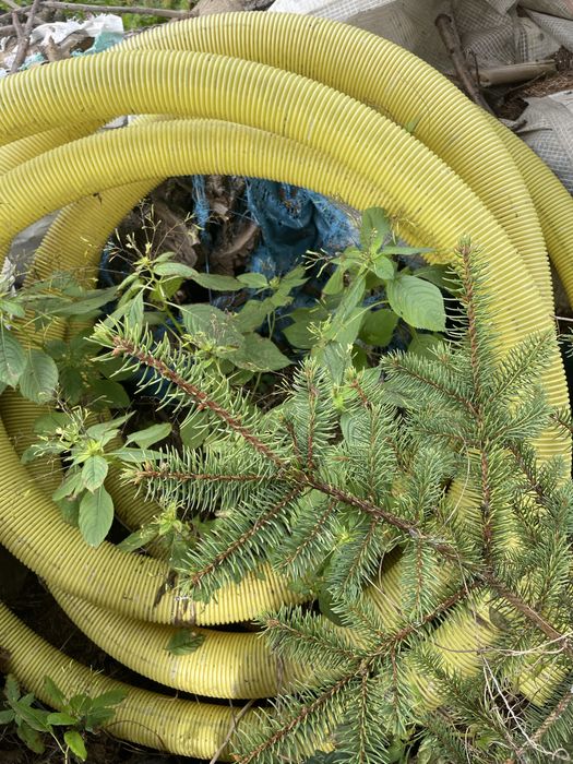 Rura drenazowa okolo 15m