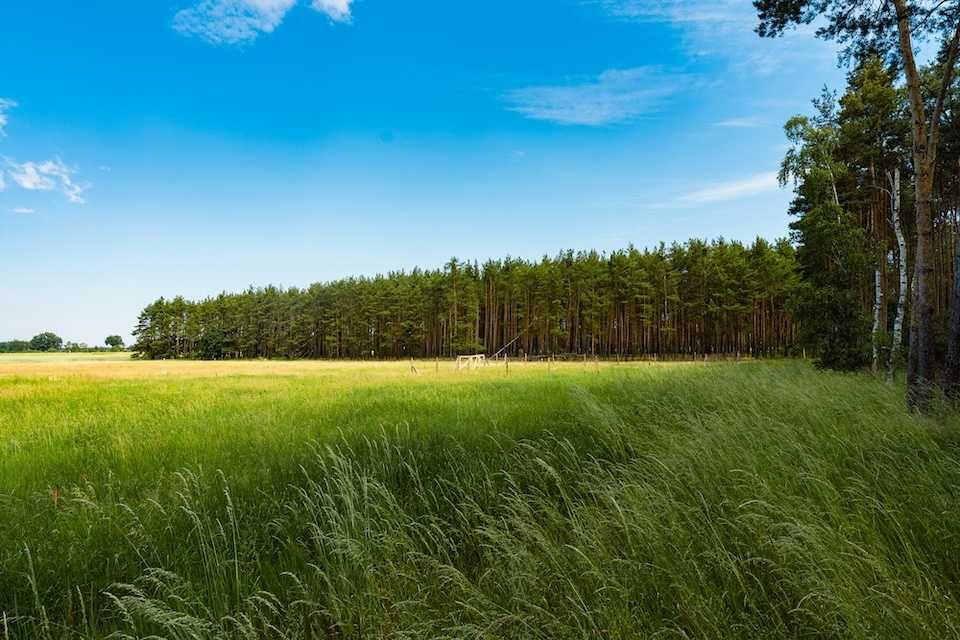 BLACK WEEK | Bez prowizji | Budowlana | MPZP | 2 ostatnie działki